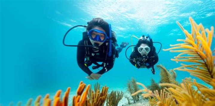 Dickie Chivell Wikipedia: Learn Everything About The Scuba Diver
