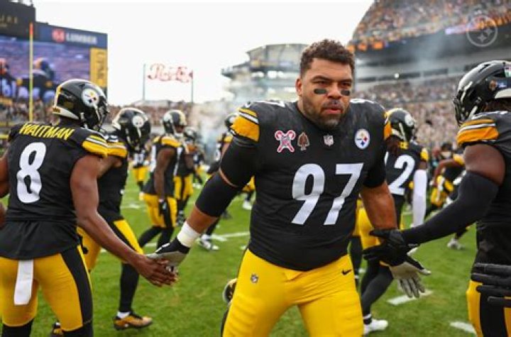 How long has Cameron Heyward been in the NFL? What nationality is Cameron Heyward?