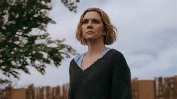 How Much Money Has Rhea Seehorn Made From Acting and Who Is She Dating?