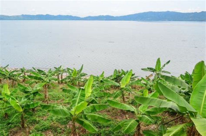 The Green Ranch at Lake Bosomtwe, Bekwai, Ghana